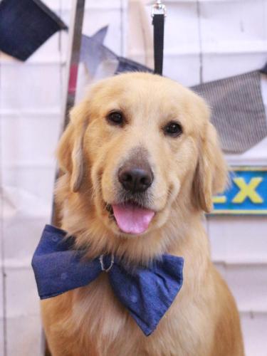 20230404アネラちゃん